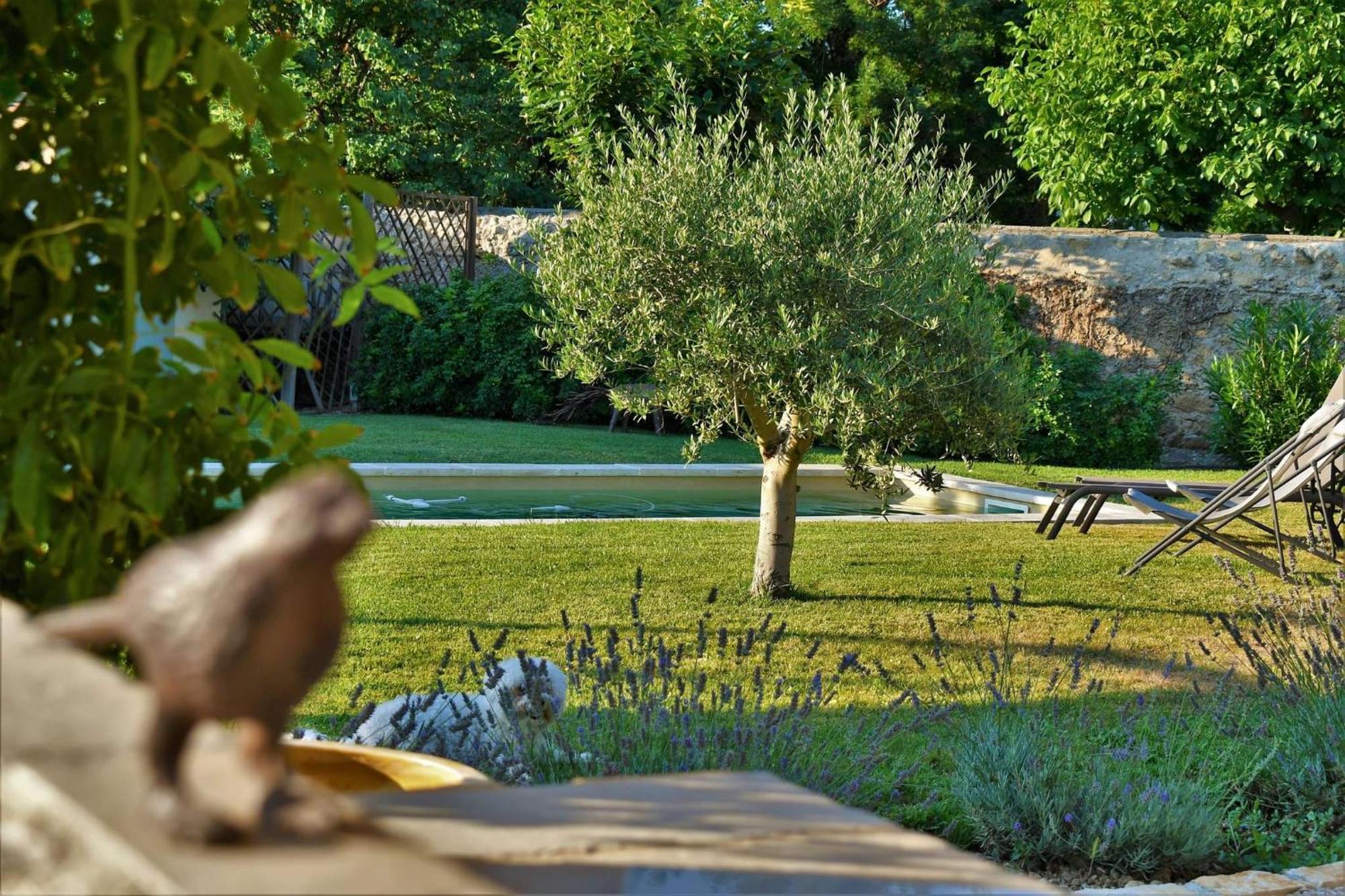 Le Chat Sur Le Toit Lourmarin Dış mekan fotoğraf