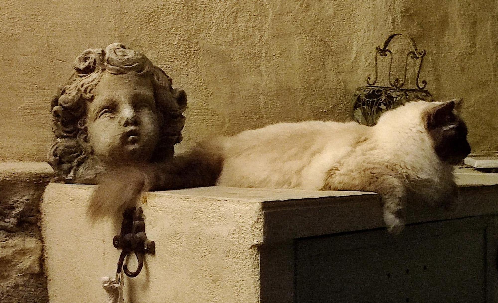 Le Chat Sur Le Toit Lourmarin Dış mekan fotoğraf
